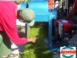 mesin grinder kompos organik 5 tokomesin blitar
