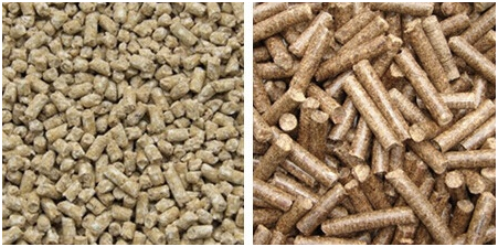 Mesin Cetak Pelet Pakan Ikan dan Ternak Listrik - AGR-PL220 1 tokomesin blitar