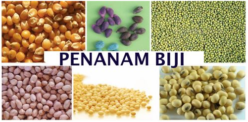 Alat Penamam Biji Tanaman (jagung, Kedelai, Kacang, dll) 1 tokomesin blitar