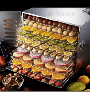 Mesin Food Dehydrator 10 Rak (FDH10) 2 tokomesin blitar