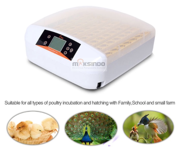 Jual Mesin Penetas Telur 56 Butir (AGR-TT56) di Blitar